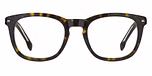 BLACK HAVANA (GREEN SHADED POLARIZED / GRADIENT) / ECO ACETATE