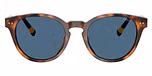 Shiny Red Havana / Dark Blue