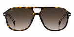 HAVANA (BROWN SHADED / GRADIENT) / ECO LIGHT ACETATE
