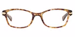 Light Brown Confetti Tortoise