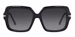 Black / Navy blue Polarised Lens