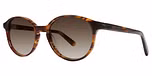 Tortoiseshell