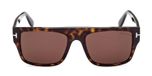 DARK HAVANA / BROWN