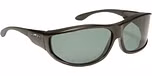 Black Frame/Gray Lenses