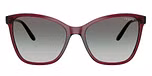 Transparent Cherry / Gradient grey