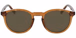 TRANSPARENT BROWN