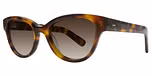 Tortoiseshell