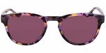 LILAC TORTOISE