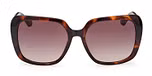 DARK HAVANA / GRADIENT BROWN