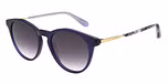 GLOSS CRYSTAL NAVY/GRADUATED