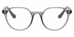 Transparent Grey / Grey