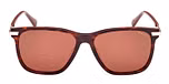DARK HAVANA / SHINY DARK BROWN / BROWN