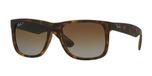 HAVANA RUBBER / havana / polarized grey gradient brown