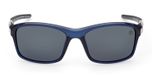 shiny blue / smoke polarized