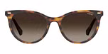 DARK HAVANA / BROWN SHADED POLARIZED
