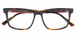 TORTOISE DARK SHINY