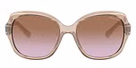 Transparent Light Brown / Violet gradient brown