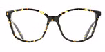 TOKYO TORTOISE