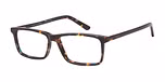 Tortoiseshell