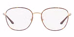 Top Havana / Pale Gold / Brown