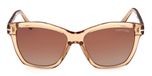 SHINY LIGHT BROWN / SHINY LIGHT BROWN / GRADIENT BROWN  / ECO