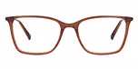 Brown / Gold