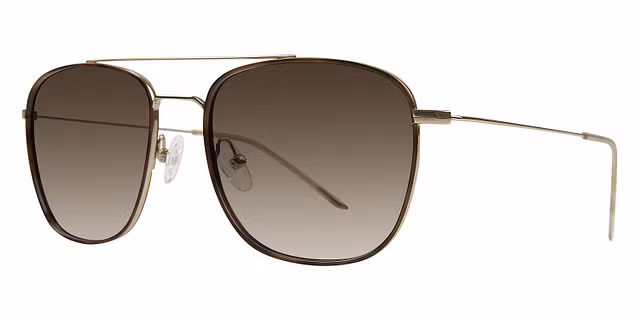 Paul Costelloe - 89 Titanium