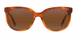 Havana / Brownlynx