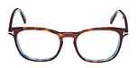 DARK HAVANA / DARK HAVANA