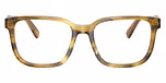 Striated Olive
