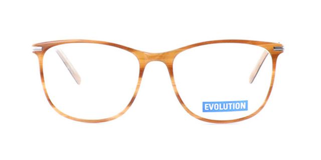 Evolution - EV1098