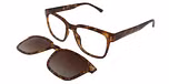 Brown Tortoise / Magnetic Clip on