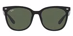 Black / Dark Green