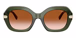 Transparent Green / Green / Brown Gradient