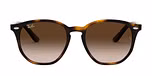 HAVANA / havana / brown gradient dark brown