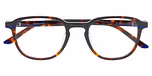 HAVANA (BROWN) MEDIUM SHINY