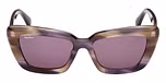 COLOURED HORN / COLOURED HORN / VIOLET