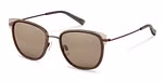 dark brown / brown / mirror / gold+ AR - 81%
