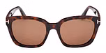 DARK HAVANA / DARK HAVANA / BROWN POLARIZED
