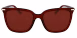 TRANSPARENT RED