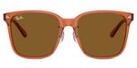 Transparent Brown / Dark Brown