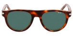 TORTOISE / GREEN