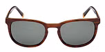 BROWN HORN / BROWN HORN  / GREEN POLARIZED