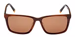 BROWN HORN / BROWN HORN / BROWN POLARIZED