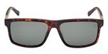 DARK HAVANA / DARK HAVANA / GREEN POLARIZED