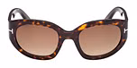 DARK HAVANA / DARK HAVANA / GRADIENT BROWN