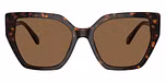 Dark Havana / Brown / Dark Brown