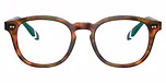 Shiny Brown Tortoise