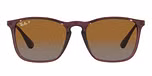TRANSPARENT BROWN / brown / grey gradient brown polarized