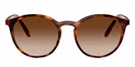 Dark Havana / Brown / Gradient Brown